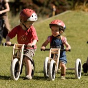 Wishbonebike