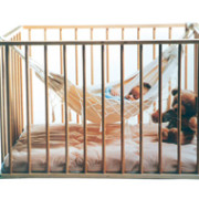 babyhangmatje.jpg