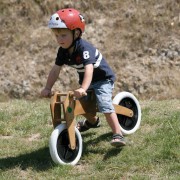 Wishbonebike