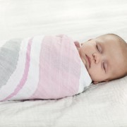 Aden and Anais swaddle doeken