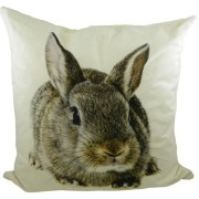 dieren kussen konijn